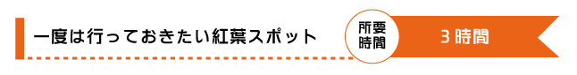 一度は行っておきたい紅葉スポット