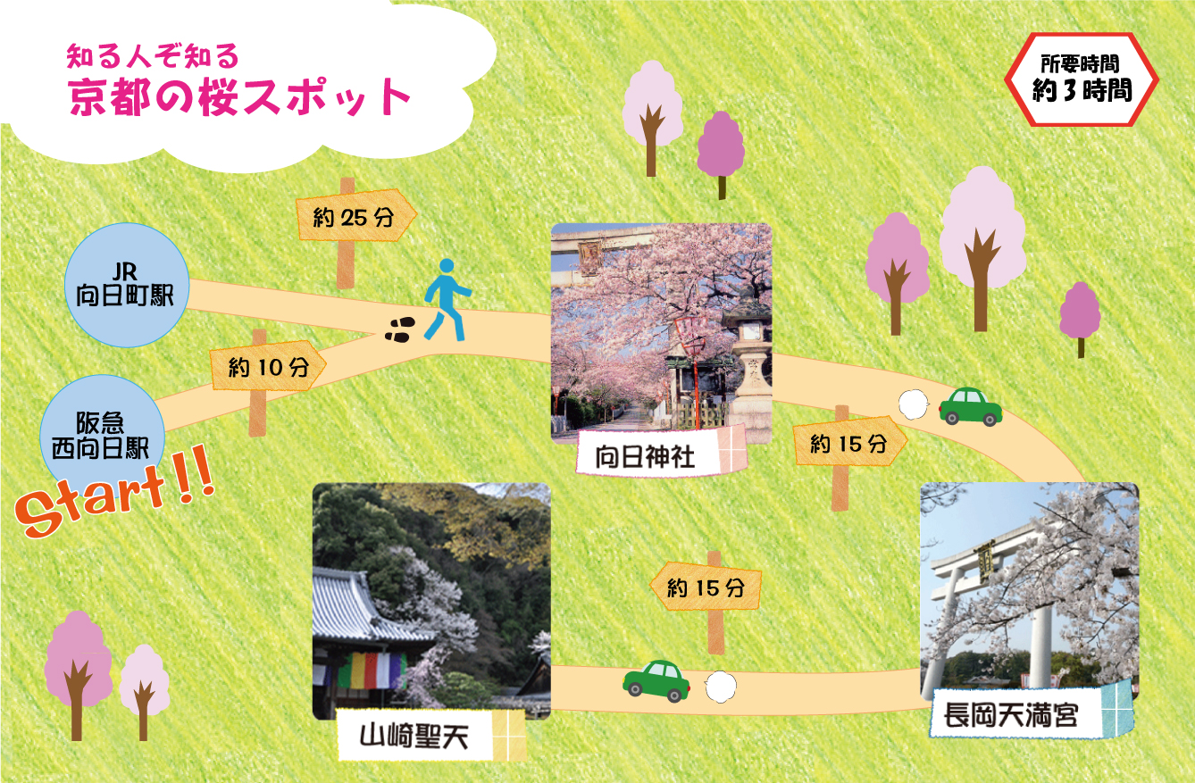知る人ぞ知る京都の桜スポット