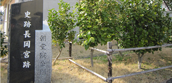 長岡宮朝堂院西第四堂跡