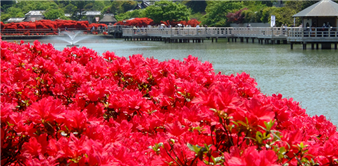 八条ヶ池