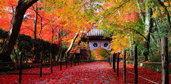 光明寺