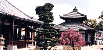 南真経寺